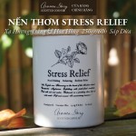 Nến Thơm Cốc Gốm Sứ Bát Tràng Hương Xạ Hương Trắng & Hoa Hồng Stress Relief Aroma Story 250g