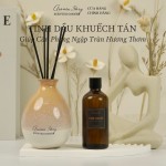 Tinh Dầu Khuếch Tán Thơm Phòng Lọ Gốm Truyền Thống Aroma Story Dạng Cắm Que Phiên Bản Đặc Biệt Size 100ml